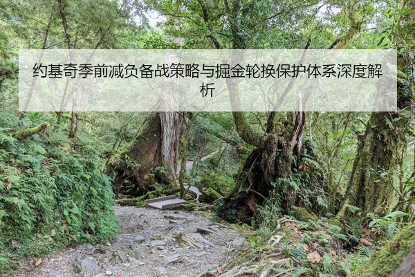 约基奇季前减负备战策略与掘金轮换保护体系深度解析